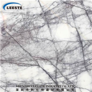 New York Marble Slabs Polished Marble Slab for Table Top