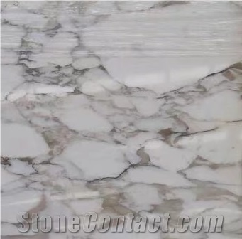 Calacatta Gold Marble Slab for Wall and Floor Covering