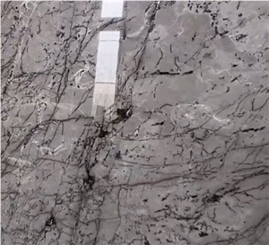 High Quality Venice Grey Marble Flooring Tile Mosaic Countertop