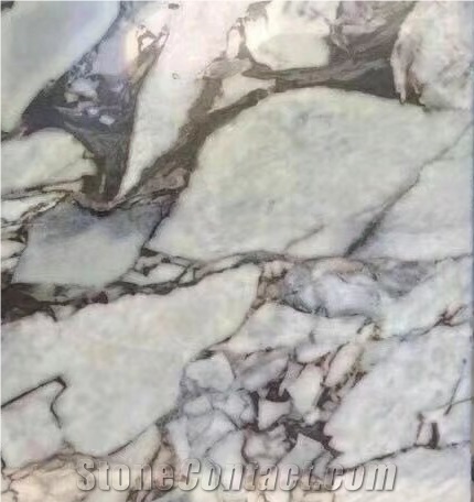 Multicolor Blue Marble Slab for Wall and Floor Covering