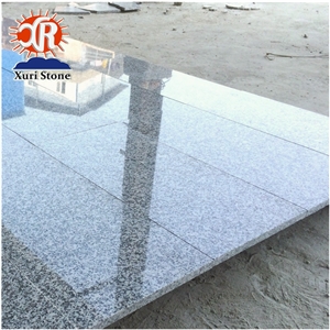 Hot Selling Large Supply China Light Grey G603 Granite Tile and Slab