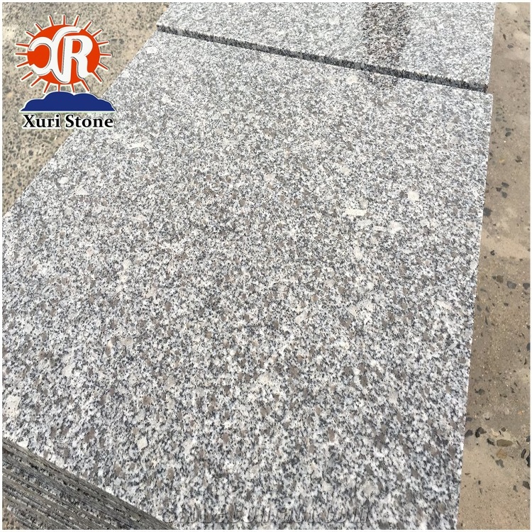 Low Price Chinese Natural Grey Granito G603 for Slabs Tiles