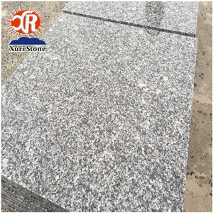 Low Price Chinese Natural Grey Granito G603 for Slabs Tiles