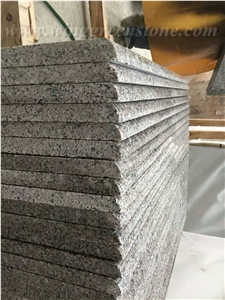 Polished G361 Granite Stairs&Steps, Wulian Flower, Winggreen Stone