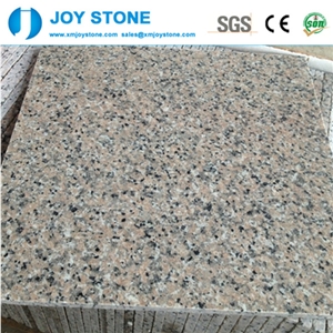 Cheap Polish Guangxi Pink Porrino Salmon Granite Slabs Tiles for Sale