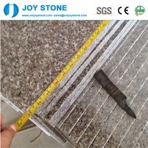 Cheap Price Polished G636 Padang Rosa Pink Cloudy Granite 30x60 Tiles