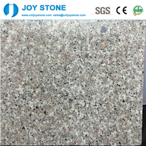 Cheap Price Polished G636 Padang Rosa Pink Cloudy Granite 30x60 Tiles