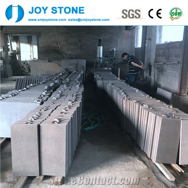 China Black Granite Flamed Tile Wall and Floor Stone 24 X24
