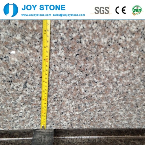 Hot Sales Polished G636 China Rosa Beta Almond Pink Granite Wall Tiles