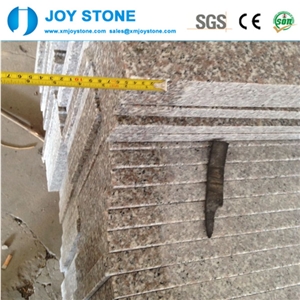 Hot Sales Polished G636 China Rosa Beta Almond Pink Granite Wall Tiles