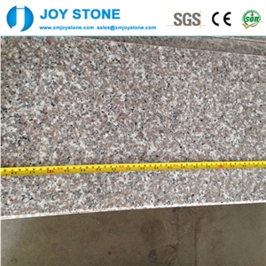 Hot Sales Polished G636 China Rosa Beta Almond Pink Granite Wall Tiles