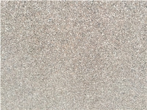 Dear Brown Granite, Cheap Granite for Walling and Flooring