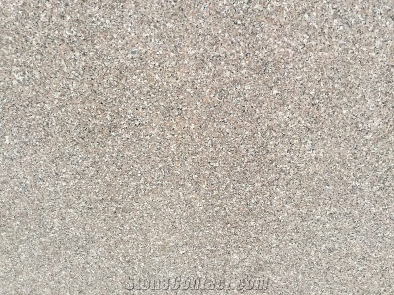 New G664 Granite Tiles, Cheap Granite Slabs, China Deer Brown Granite