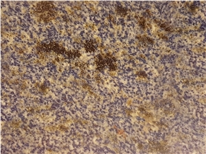 Azul Bahia Granite Tiles