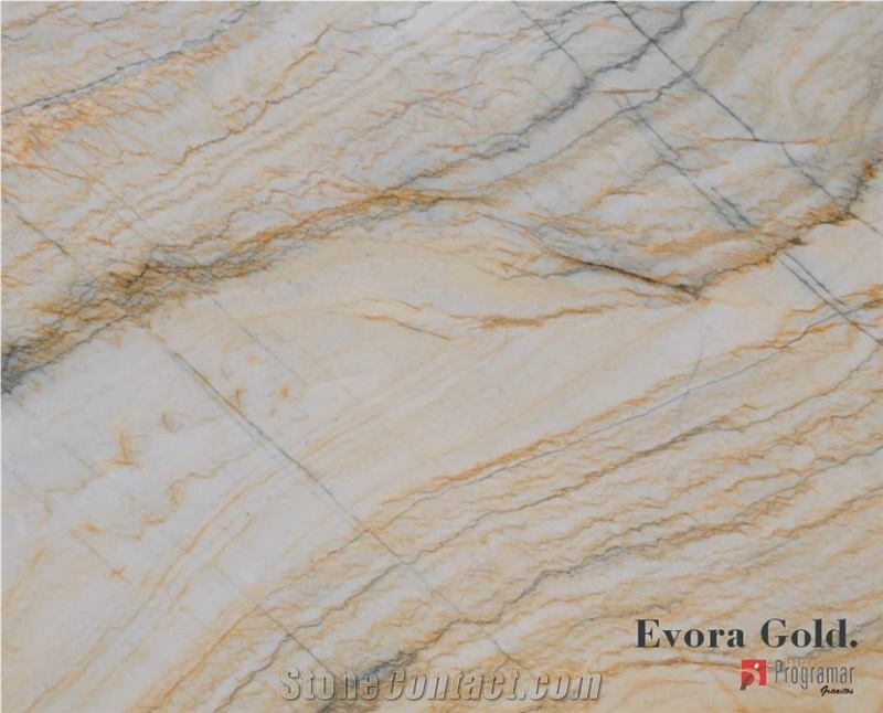 Evora Gold Quartzite Slabs