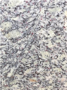 Giallo Green Champagne Kimchi Gold Granite Slabs, Wall Floor Tiles