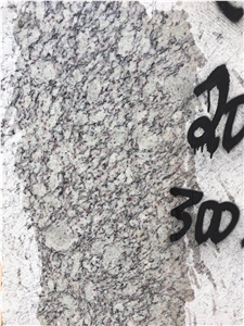 Giallo Green Champagne Kimchi Gold Granite Slabs, Wall Floor Tiles
