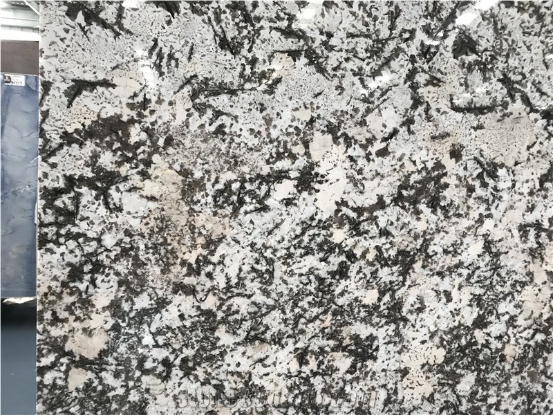 Yellow Snow Mountain Silver Fox Snow Granite Slabs&Tiles, Background