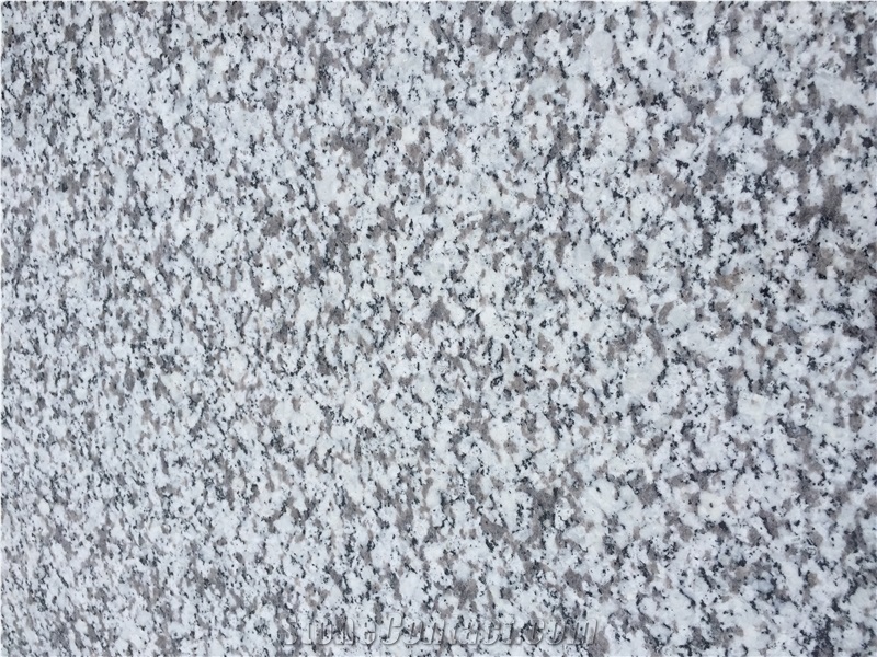 New G439/ Snow White Tiles for Paving/ Flooring/ Building Project