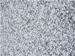 New G439/ Snow White Tiles for Paving/ Flooring/ Building Project