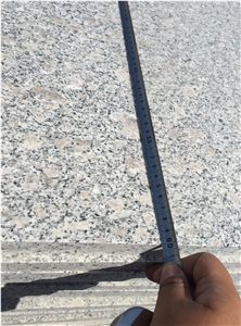 Gris Mara Granite King Flower Granite Grey Granite Tiles Gris Mara Granite King Flower Granite Grey Granite Tiles