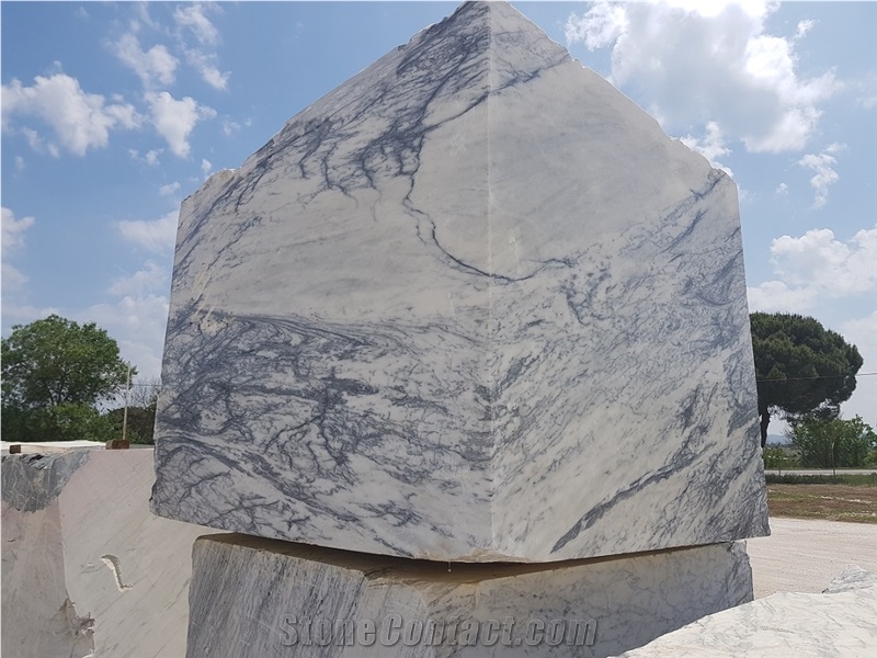Dynossaurus Marble Blocks, Estremoz White with Exotic Grey Veins