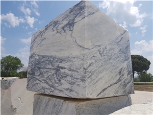 Dynossaurus Marble Blocks, Estremoz White with Exotic Grey Veins