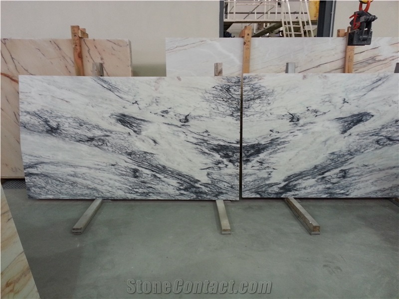 Dynossaurus Marble Slabs