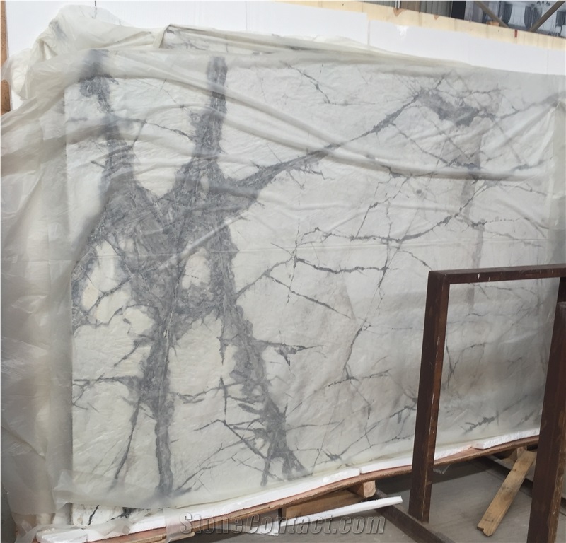 Sydney Quartzite Slabs & Tiles, Brazil White Quartzite