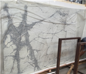 Sydney Quartzite Slabs & Tiles, Brazil White Quartzite