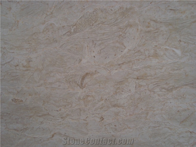 Floor Tile China Price Perlato Svevo Flower Beige Marble