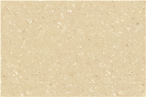 Ls-E013 Sago / Artificial Stone Tiles & Slabs,Floor & Wall