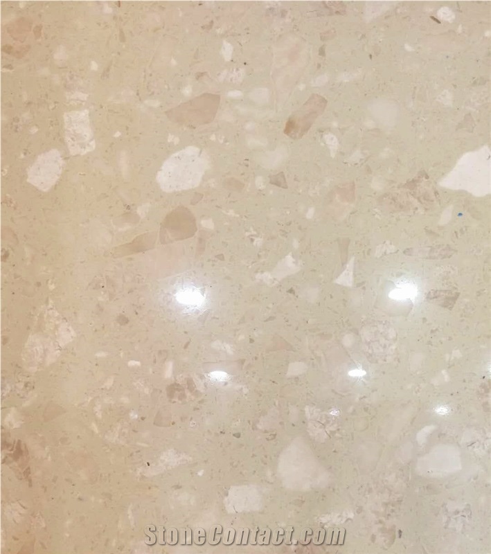 Ls-E013 Sago / Artificial Stone Tiles & Slabs,Floor & Wall