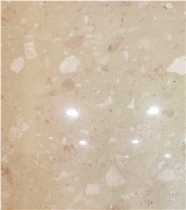 Ls-E013 Sago / Artificial Stone Tiles & Slabs,Floor & Wall