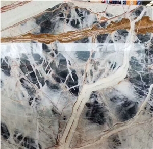 Black Jungle Marble/Black with White and Gold Veins Slab Black Jungle Marble/Black with White and Gold Veins Slab