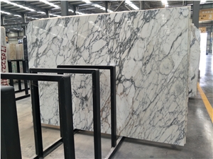 Fine Lines Snow White Marble for Wall and Floor Covering