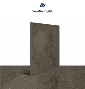 Savana Pearl Marble Tiles & Slabs