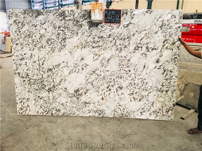 Alaska White Granite Slabs
