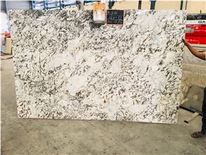 Alaska White Granite Slabs