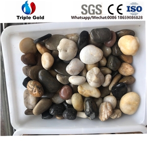 Polished Tumbled Color Natural River Pebble Stone Garden Landscaping