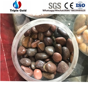 Walkway River Pebbles Stone Tumbled Color Garden Landscaping
