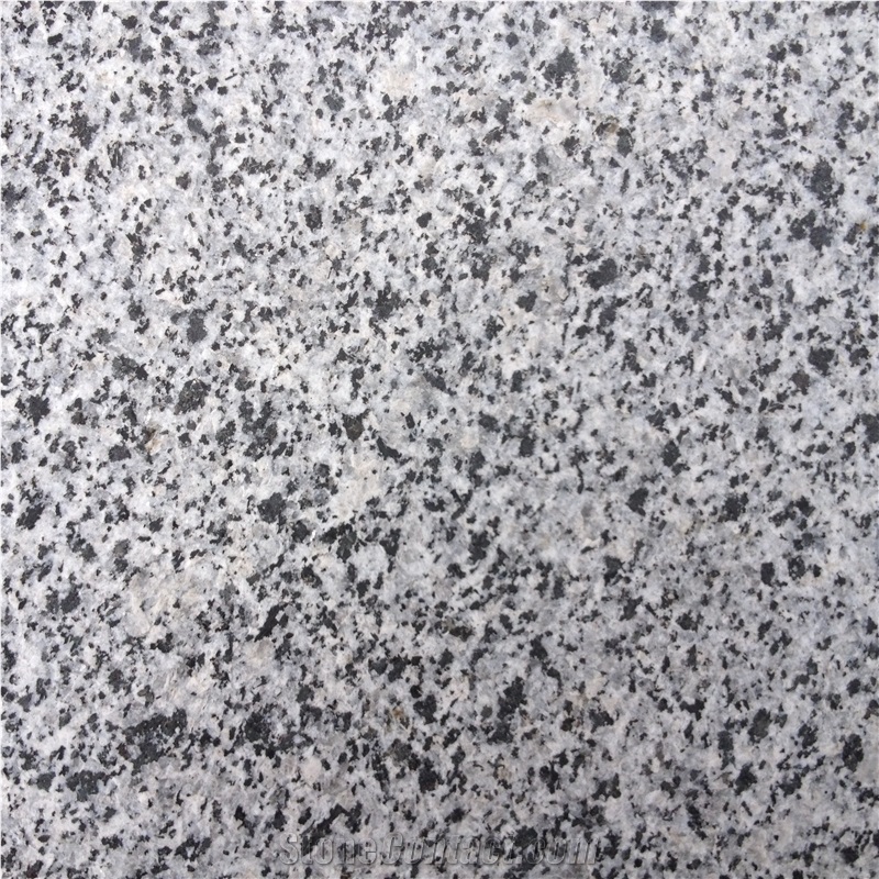 Pokostovsky Gray Ukraine Granite Paving Tiles, Flamed Finishing