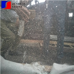 Black Galaxy Granite Counter Top China India Granite