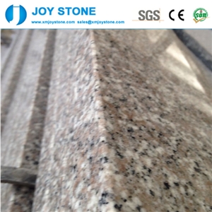 Cheap Price Polished G6363 New Rosa Beta Granite Stair Case Step Tread