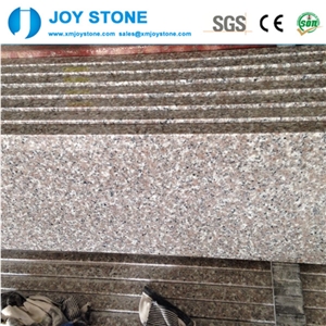 Cheap Price Polished G6363 New Rosa Beta Granite Stair Case Step Tread