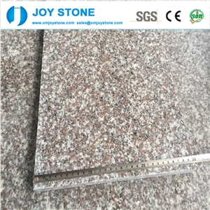 China Pink Hot Selling Granite Tile G664 High Quality