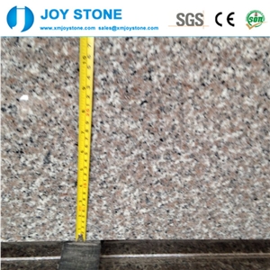 Whole Sales Polished G6363 Apple Pink Sara Rose Granite Stair Tread