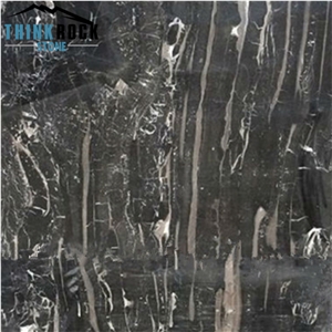 China Black Silver Dragon Marble Composite Sandwich Panels