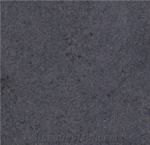 China Yixian Zijing Bauhinia Black Granite Slab Tile