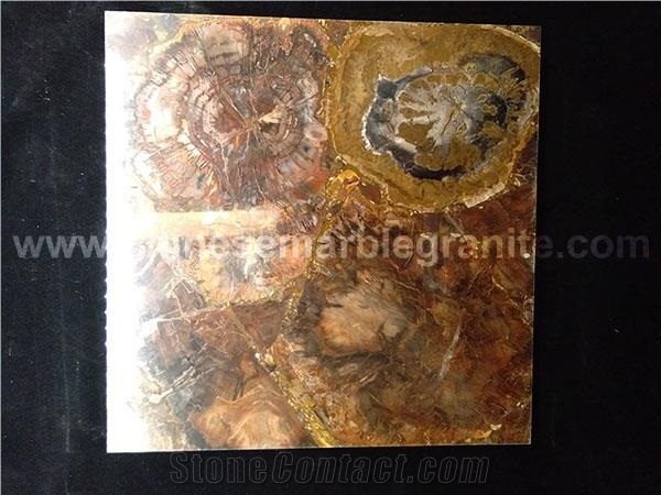 Gold Fossil Wood Compoiste Galaxy White Quartz Tiles for Sale